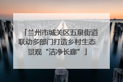 兰州市城关区五泉街道联动多部门打造乡村生态景观“洁净长廊”