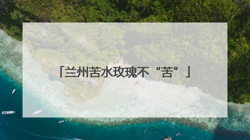 兰州苦水玫瑰不“苦”