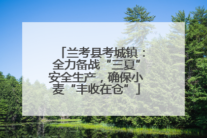 兰考县考城镇：全力备战“三夏”安全生产，确保小麦“丰收在仓”