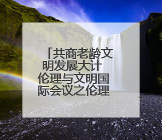 共商老龄文明发展大计 伦理与文明国际会议之伦理与老龄文明专场开幕
