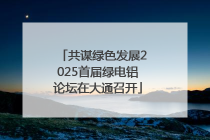 共谋绿色发展2025首届绿电铝论坛在大通召开