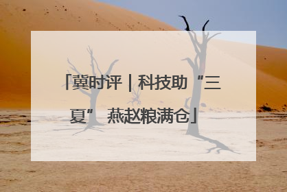 冀时评｜科技助“三夏” 燕赵粮满仓