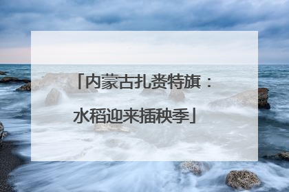 内蒙古扎赉特旗：水稻迎来插秧季