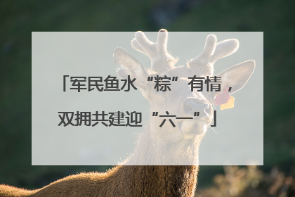 军民鱼水“粽”有情，双拥共建迎“六一”