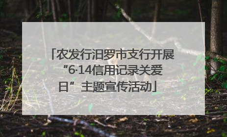 农发行汨罗市支行开展“6·14信用记录关爱日”主题宣传活动