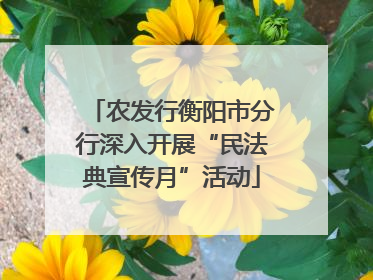 农发行衡阳市分行深入开展“民法典宣传月”活动