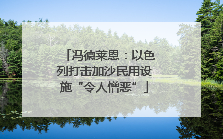 冯德莱恩：以色列打击加沙民用设施“令人憎恶”