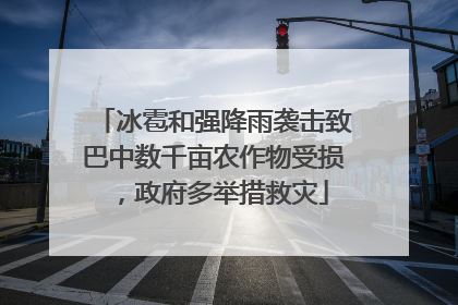 冰雹和强降雨袭击致巴中数千亩农作物受损，政府多举措救灾