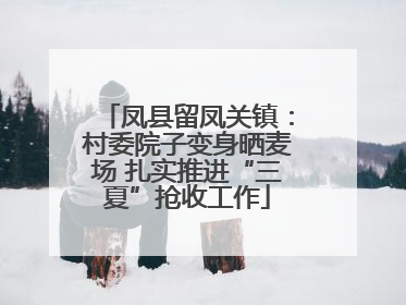 凤县留凤关镇：村委院子变身晒麦场 扎实推进“三夏”抢收工作