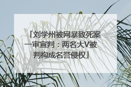 刘学州被网暴致死案一审宣判：两名大V被判构成名誉侵权