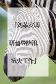 刘革安调研督导防汛抗灾工作