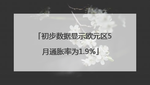 初步数据显示欧元区5月通胀率为1.9%