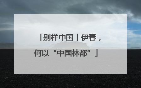 别样中国丨伊春，何以“中国林都”