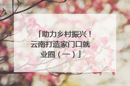 助力乡村振兴！云南打造家门口就业圈（一）