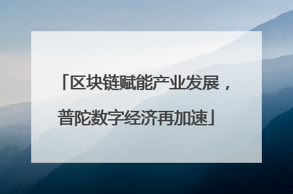 区块链赋能产业发展，普陀数字经济再加速