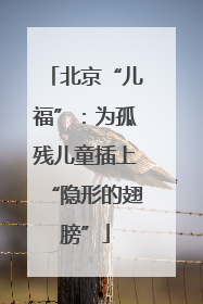 北京“儿福”：为孤残儿童插上“隐形的翅膀”