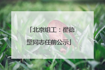 北京组工：翟德罡同志任前公示