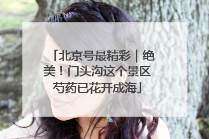 北京号最精彩｜绝美！门头沟这个景区芍药已花开成海