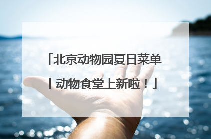 北京动物园夏日菜单丨动物食堂上新啦！