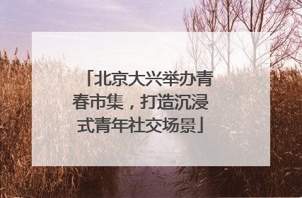 北京大兴举办青春市集，打造沉浸式青年社交场景
