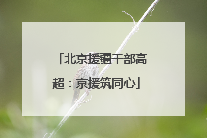 北京援疆干部高超：京援筑同心