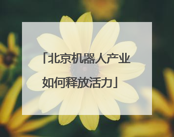 北京机器人产业如何释放活力