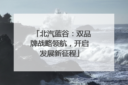 北汽蓝谷：双品牌战略领航，开启发展新征程
