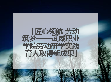 匠心领航 劳动筑梦——武威职业学院劳动研学实践育人取得新成果