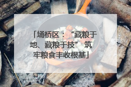 埇桥区：“藏粮于地、藏粮于技” 筑牢粮食丰收根基