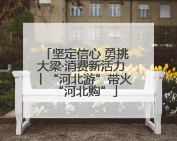 坚定信心 勇挑大梁·消费新活力丨“河北游”带火“河北购”