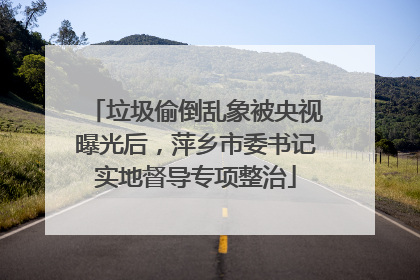垃圾偷倒乱象被央视曝光后，萍乡市委书记实地督导专项整治
