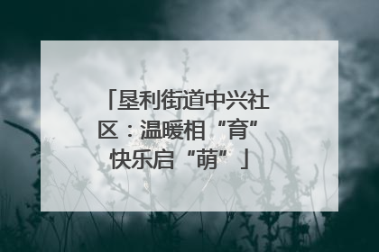 垦利街道中兴社区：温暖相“育” 快乐启“萌”