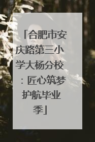 合肥市安庆路第三小学大杨分校：匠心筑梦 护航毕业季