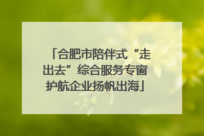 合肥市陪伴式“走出去”综合服务专窗护航企业扬帆出海