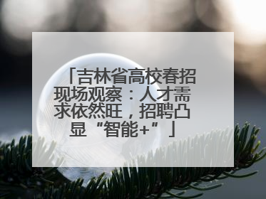 吉林省高校春招现场观察：人才需求依然旺，招聘凸显“智能+”