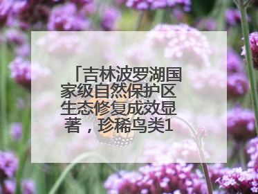 吉林波罗湖国家级自然保护区生态修复成效显著，珍稀鸟类10年增加5倍