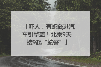 吓人，有蛇藏进汽车引擎盖！北京9天接9起“蛇警”