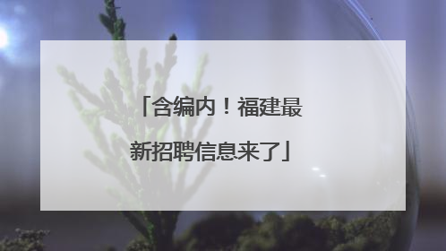 含编内！福建最新招聘信息来了