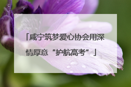 咸宁筑梦爱心协会用深情厚意“护航高考”