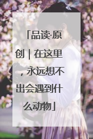 品读·原创｜在这里，永远想不出会遇到什么动物