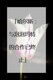 哈尔斯：与泡泡玛特的合作已终止