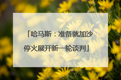 哈马斯：准备就加沙停火展开新一轮谈判