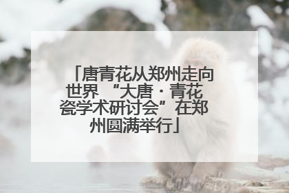 唐青花从郑州走向世界 “大唐・青花瓷学术研讨会”在郑州圆满举行