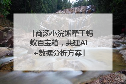 商汤小浣熊牵手蚂蚁百宝箱，共建AI+数据分析方案