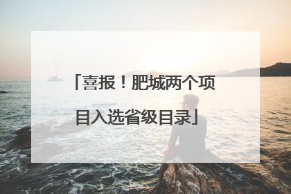 喜报！肥城两个项目入选省级目录