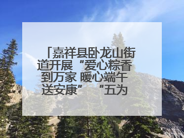 嘉祥县卧龙山街道开展“爱心粽香到万家 暖心端午送安康” “五为”志愿服务活动