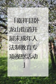 嘉祥县卧龙山街道开展未成年人法制教育专项视察活动
