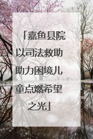 嘉鱼县院以司法救助助力困境儿童点燃希望之光