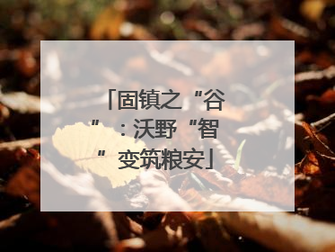 固镇之“谷”：沃野“智”变筑粮安