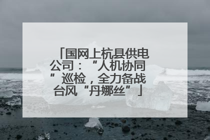 国网上杭县供电公司：“人机协同”巡检，全力备战台风“丹娜丝”